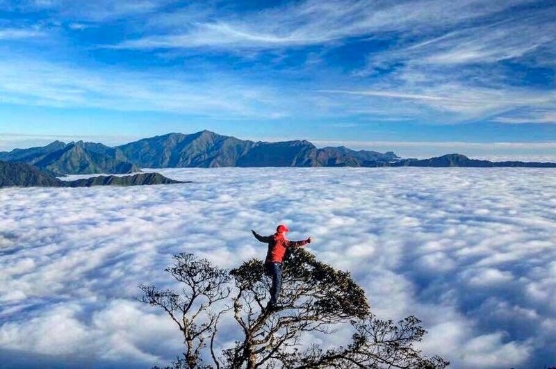 Du lịch Tà Xùa: Trải nghiệm thiên đường mây độc đáo giữa vùng cao Bắc Yên